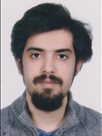 کوشان طلائی مالمیری