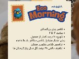 EcoMorning 