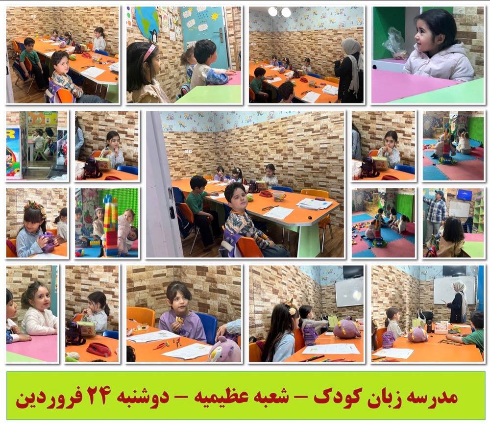 مؤسسات آنلاین و حضوری زبان نصیر